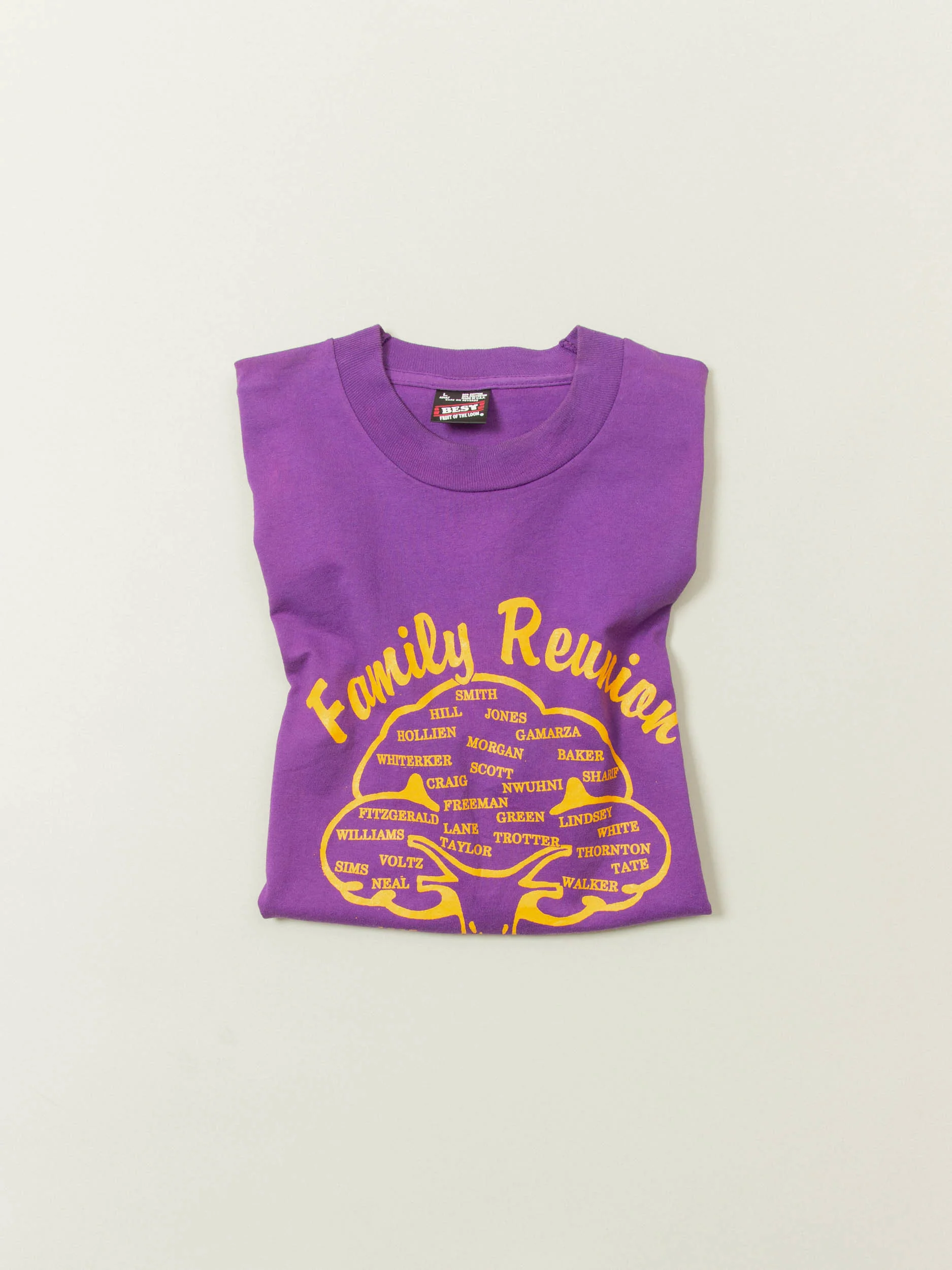 Vtg 1990s Fruit of the Loom Single Stitch Tee - Made in USA (L) - Image 6
