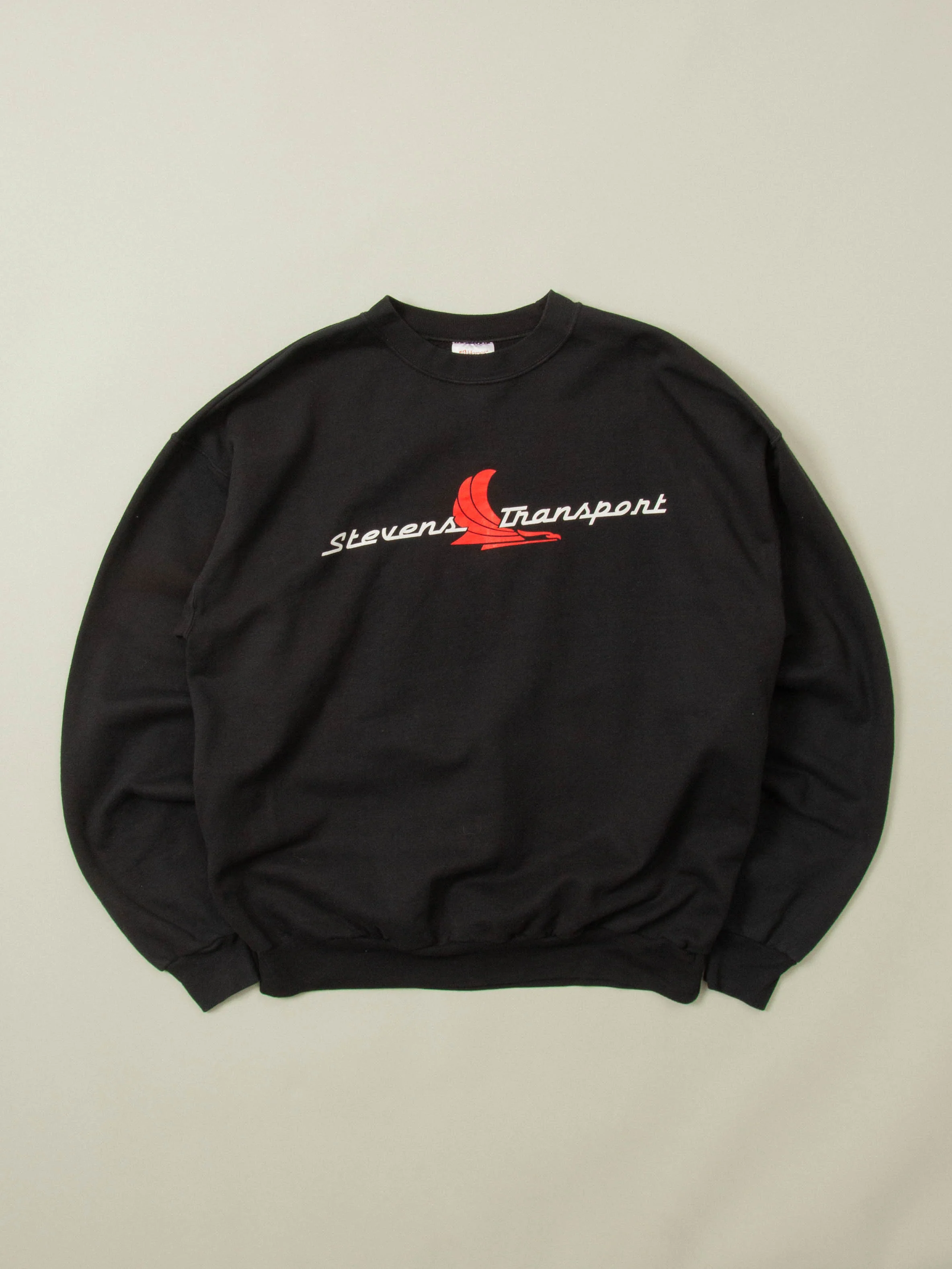 Vtg 1990s Hanes Graphic Sweatshirt (L)