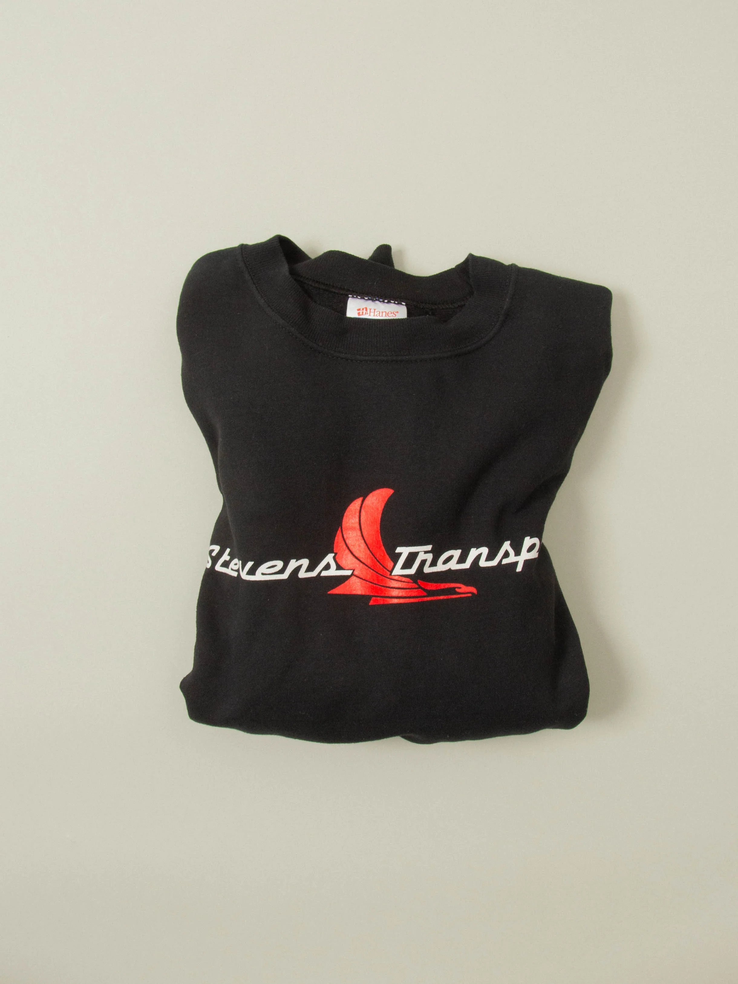 Vtg 1990s Hanes Graphic Sweatshirt (L) - Image 6