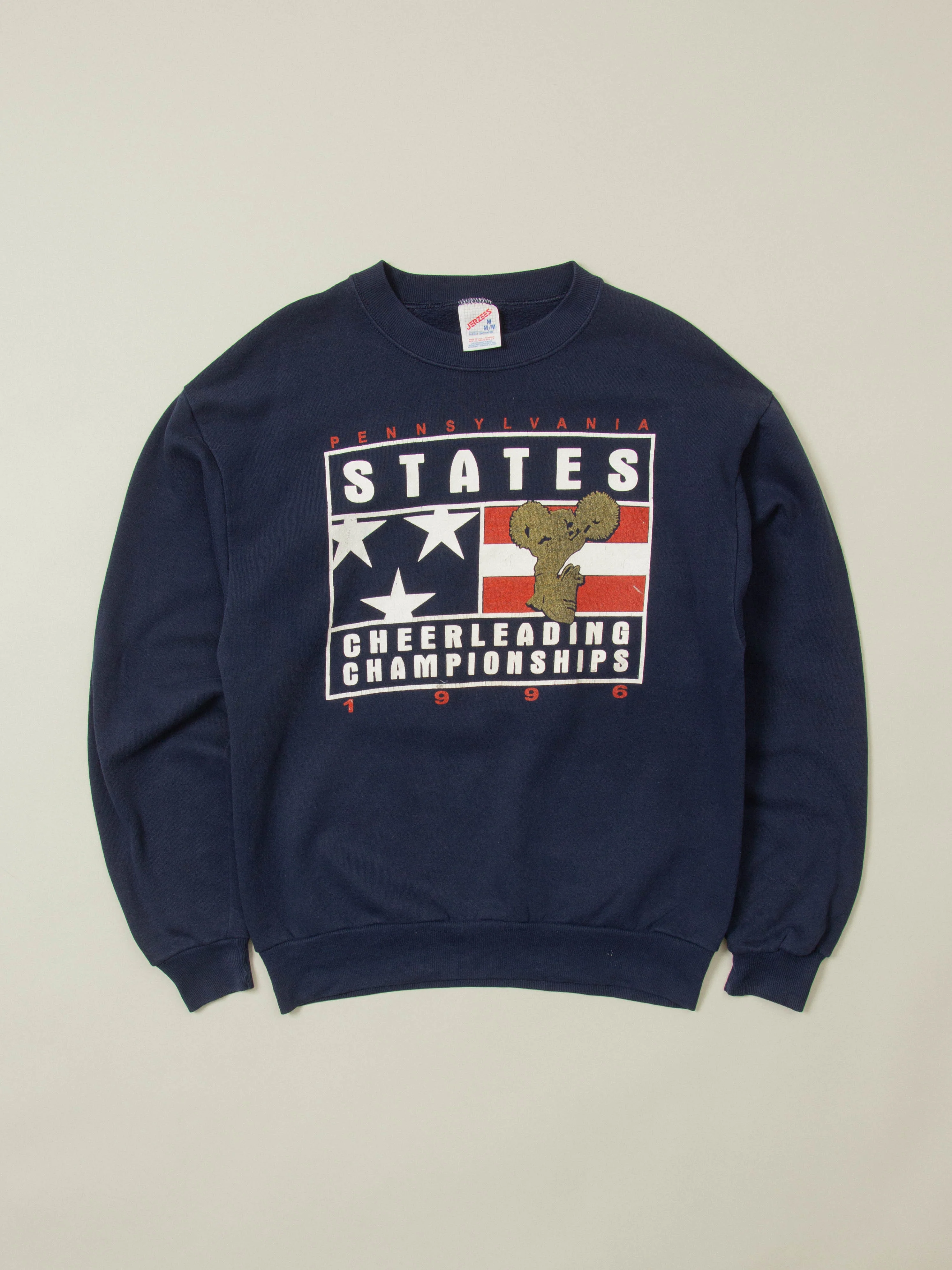 Vtg 1990s Pennsylvania Sweatshirt - Made in USA (M)