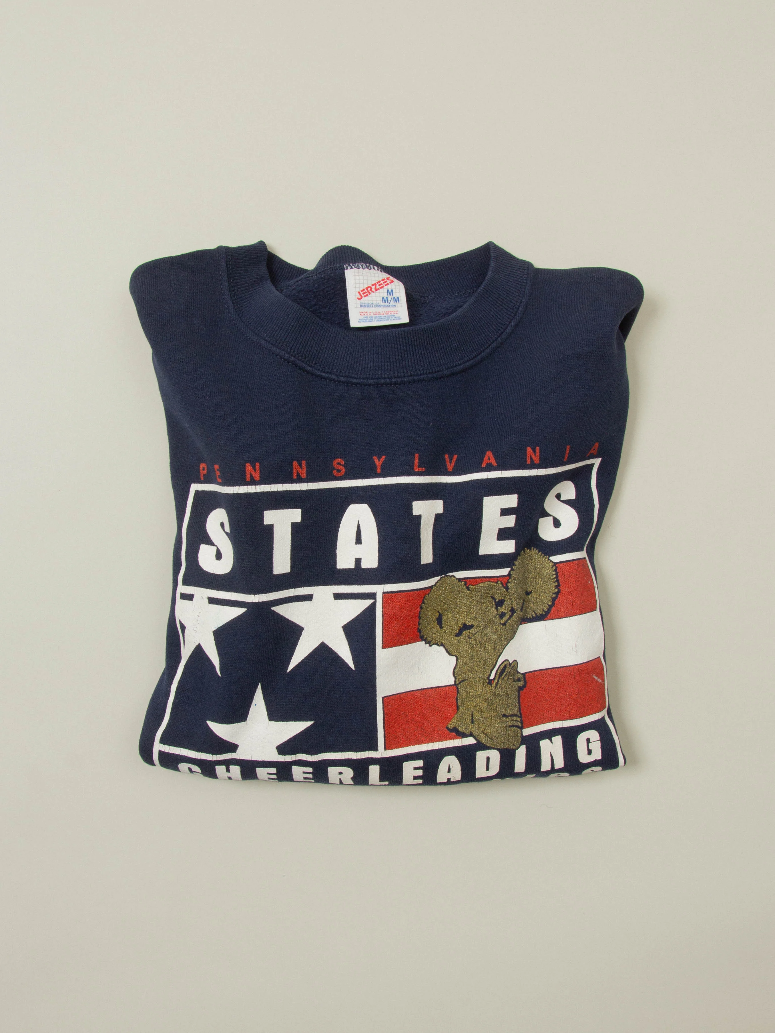 Vtg 1990s Pennsylvania Sweatshirt - Made in USA (M) - Image 5