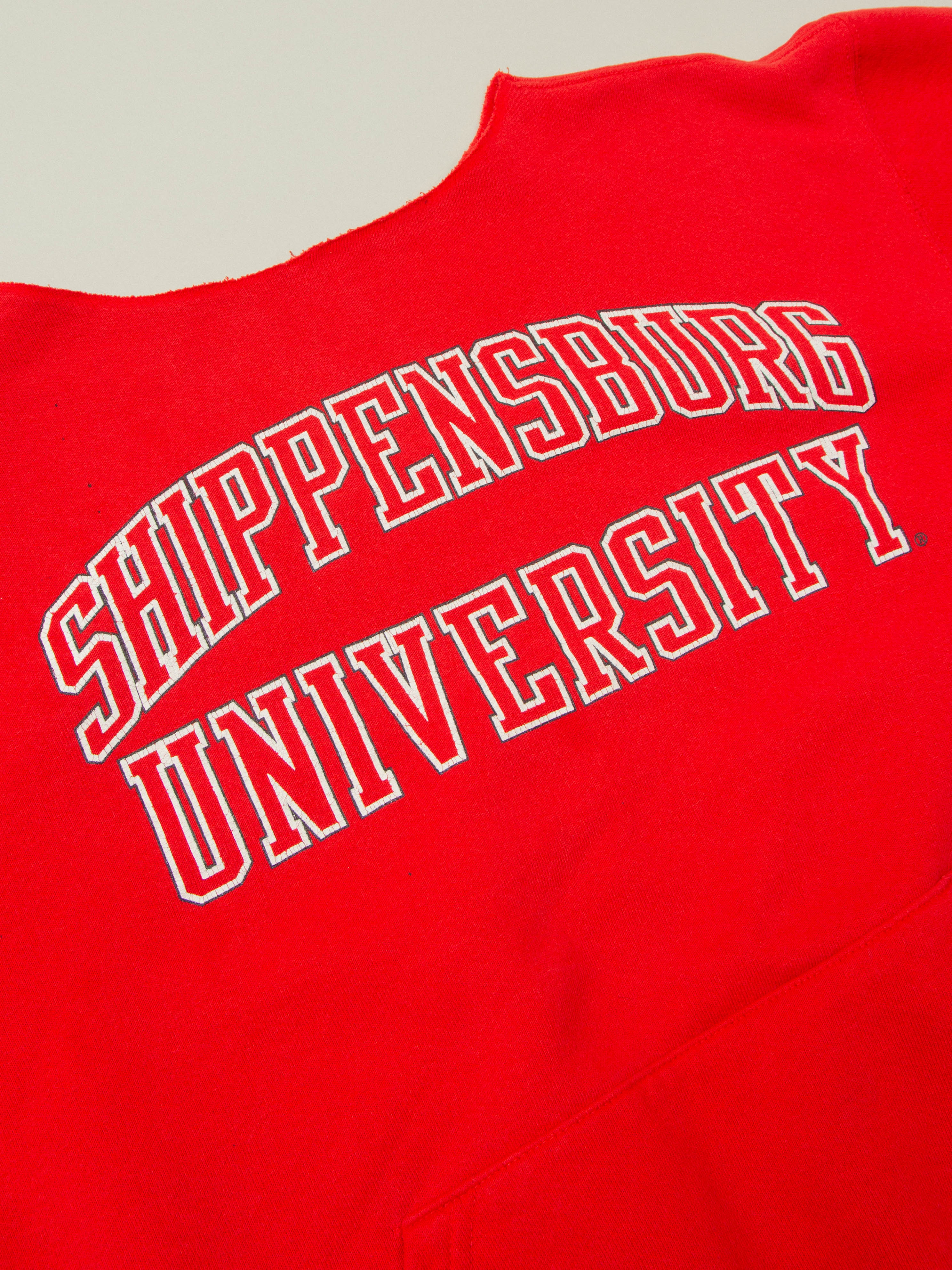 Vtg 1990s University Sweatshirt (M) - Image 2